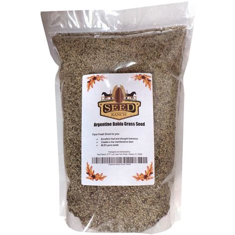 Lawn Grass Seed Seed World