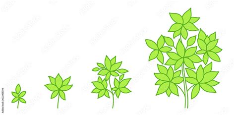 Tree growth stages. Development stage. Animation progression. Green ...