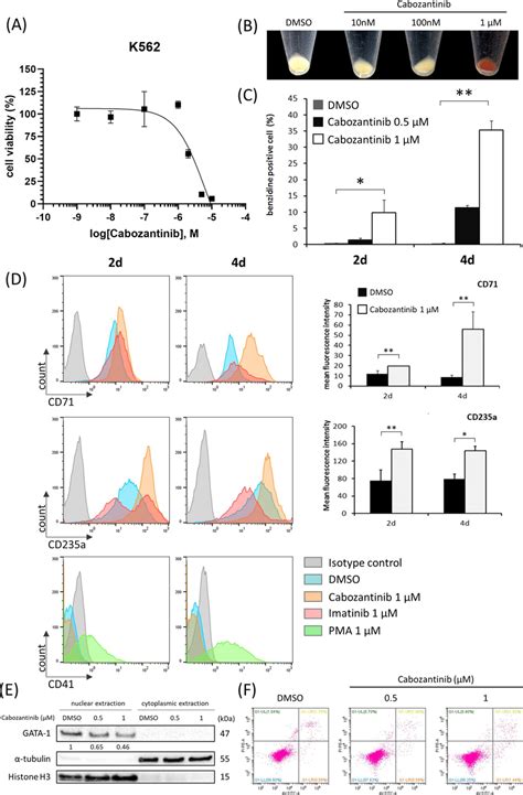 Cabozantinib Inhibited K562 Cell Proliferation And Induced Download Scientific Diagram