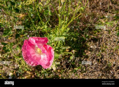 Hs Cctv Fotograf As E Im Genes De Alta Resoluci N Alamy