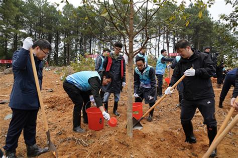 我为亚运种棵树 “互联网全民义务植树”邀你一起“浙”里种树杭州网