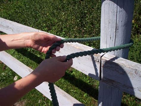 Learn How To Tie A Quick Release Knot For Safe Horse Tying Paracord