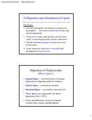 Digestion and Absorption of Lipids: Overview and Mechanisms | Course Hero