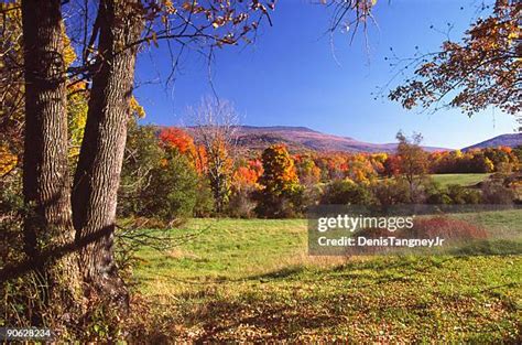 Falling Leaves High Res Stock Photo Getty Images