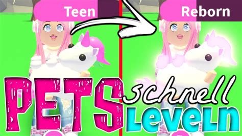 So LEVELST Du Deine PETS DOPPELT So Schnell Roblox Adopt Me DEUTSCH