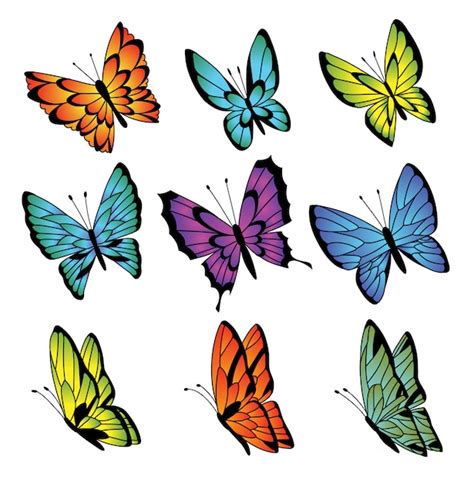 Colección De Coloridas Mariposas Vector Premium