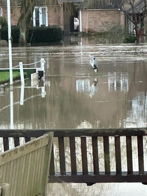 Worst Flood Since 1998 Tennis Warwick Boat Club