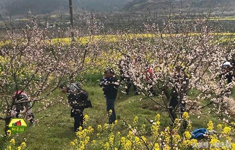 2018農村發展將繞不開這兩個大方向，事關每個農民的利益！ 每日頭條