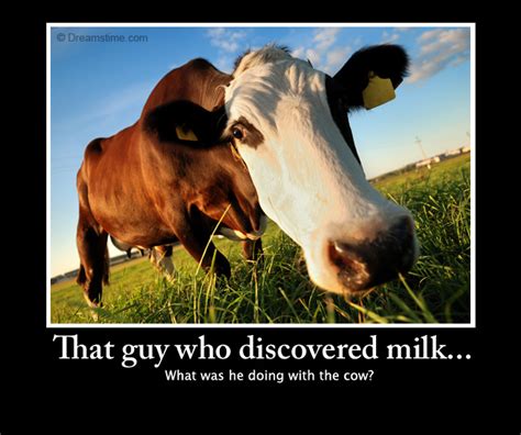 Milk Meme Quotes