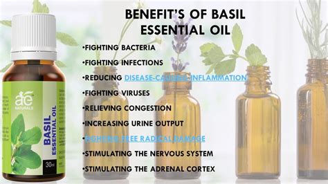 Basil Essential Oil AE Impex