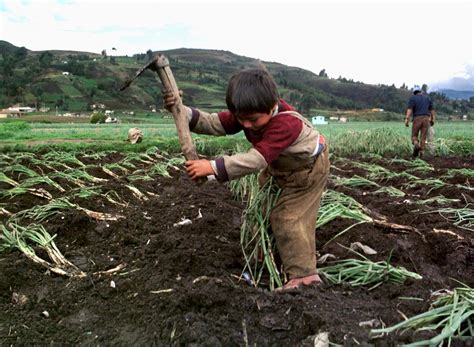 Lanzan Campa A M S Derechos Laborales Menos Trabajo Infantil En Favor