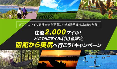 Jalの「どこかにマイル」、行き先が函館・札幌千歳の人に函館〜奥尻間を往復2000マイルで提供 Traicy（トライシー）