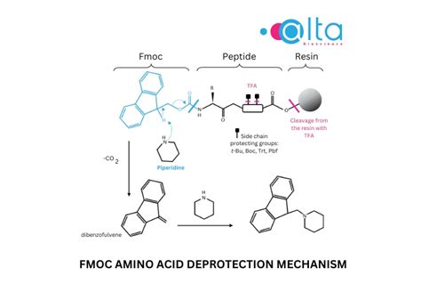 Fmoc Amino Acids For Spps Altabioscience