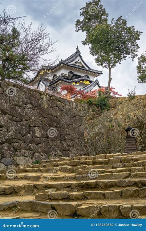 Hikone Castle autumn stock image. Image of nature, asia - 138260689