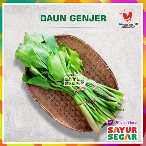 Jual GENJER SAYUR [1 Ikat, ±150g] - Jakarta Selatan - SAYUR SEGAR | Official | Tokopedia