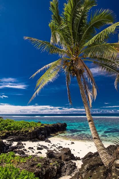 Playa Tropical En El Lado Sur De La Isla De Samoa Con Palmeras De Coco