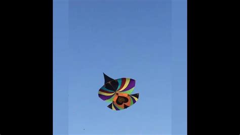 Patang Bazi In Pakistan Basant Mela In Pindi2020 Pindi Kite