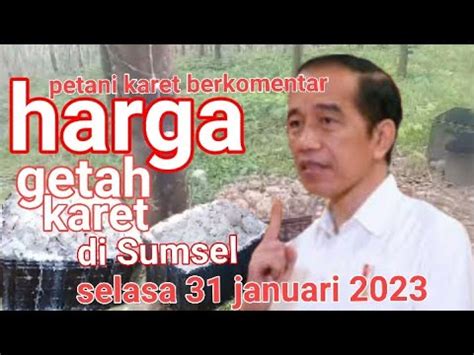 Harga Karet Hari Selasa 31 Januari 2023 Sumsel YouTube