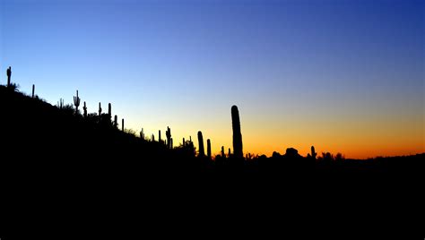 Desert sunset (Phoenix, Arizona) | Desert sunset, Sunset, Natural landmarks