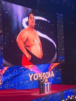 Yokozuna (wrestler) - Wikipedia