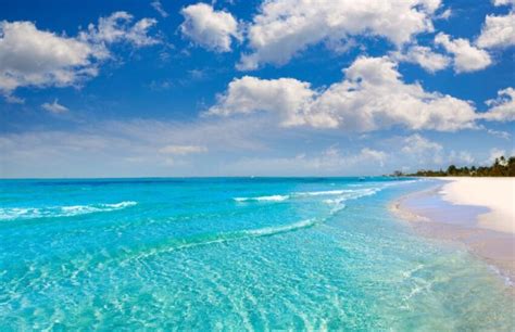 19 Most Insta-Worthy Clear Water Beaches in Florida