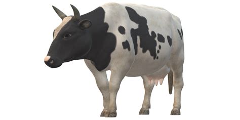 Cow isolated on a Transparent Background 43988509 PNG