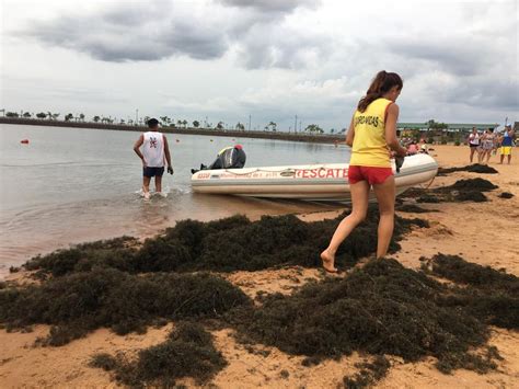 Tras El Ataque De Palometas Limpiaron El Brete