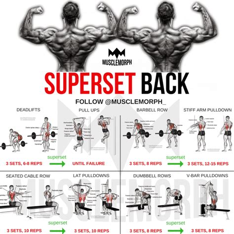 Barbell Back Workout For Mass EOUA Blog