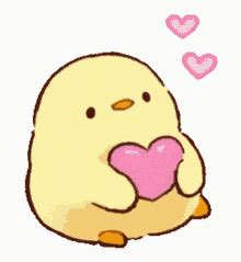 cute chickens