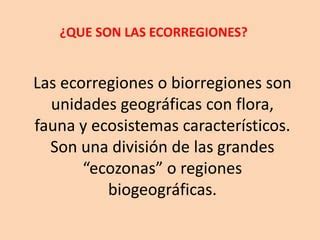 Las Ecorregiones PPT