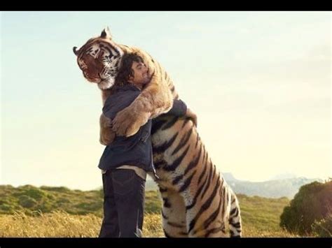 (10) Animals Hugs to their Friends Humans its Emotional - YouTube ...