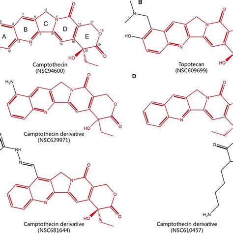 Chemical Structures Of Camptothecin And Its Derivatives A