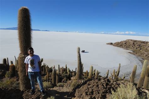 From La Paz Day Uyuni Salt Flats Red Lagoon By Flight Getyourguide