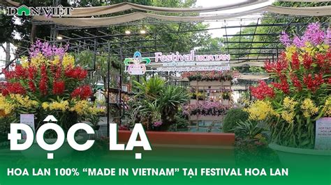 Nhiều giống lan độc lạ 100 made in Vietnam tại Festival Hoa lan TP