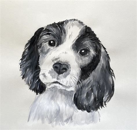 Black & White Cocker Spaniel | ArtBase