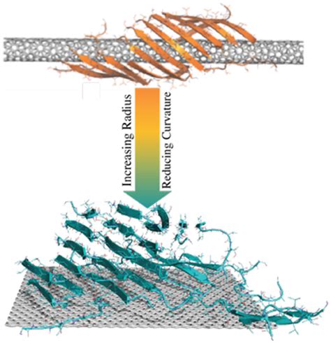 Investigation Of The Dissociation Mechanism Of 52 OFF