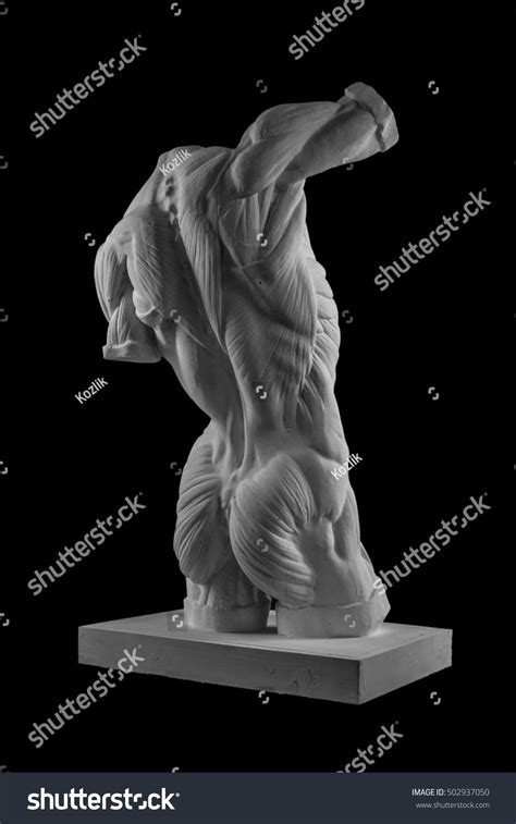 Plaster Statue Naked Man Torso Anatomical Stock Photo Edit Now 502937050