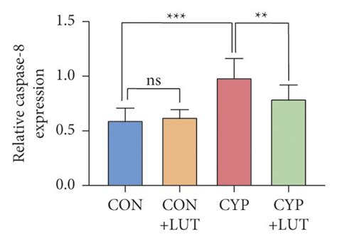 LUT Reduces Apoptosis In CYP Induced Cystitis A TUNEL Staining Of