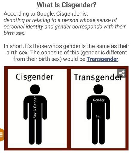 Cisgender Wiki Lgbt Amino