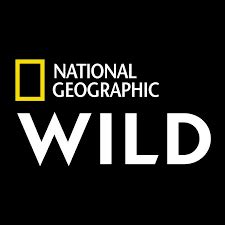 National Geographic Wild Schedule, Serials List : Serials Timing Today ...