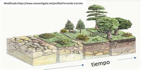 Actividad Fundamentos El Suelo Ficha Interactiva Topworksheets