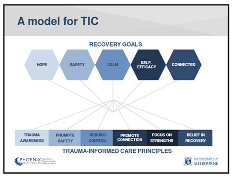 Trauma Informed Care Model