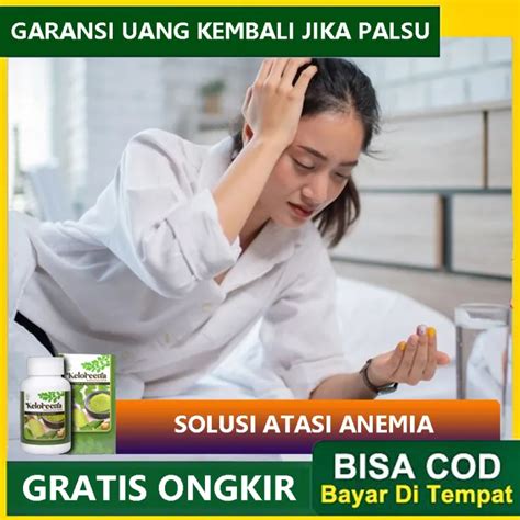 Obat Cocok Untuk Anemia Obat Herbal Anemia Aplastik Mengatasi