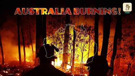 Australia Burning Australia Bush Fire Video For Kids Foonaapp