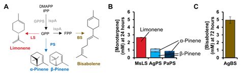 Synthesis of additional terpenes including biofuel precursors pinene... | Download Scientific ...