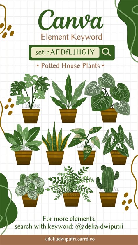 Plant Illustration Pots House House Plants Keyword Elements Canva