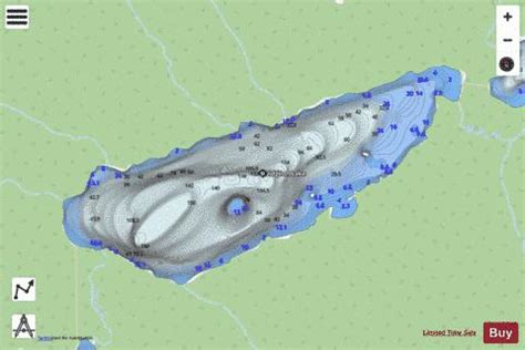 Widgeon Lake Fishing Map | Nautical Charts App