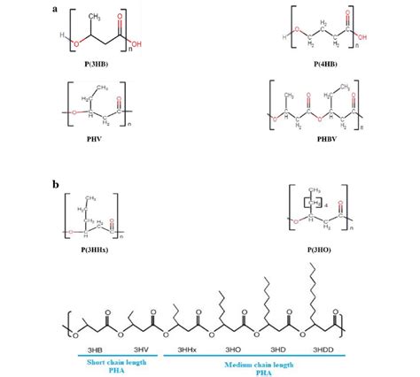 a Structure of short chain length PHAs. Poly-3-hydroxybutyrate or... | Download Scientific Diagram