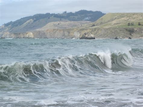 Goat Rock Beach, Jenner, CA - California Beaches