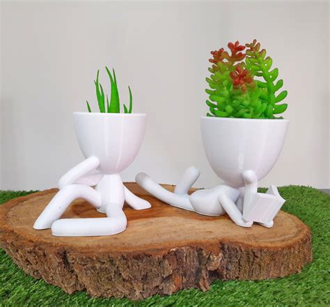 Kit Robert Bob Plant Vaso Decorativo Cactos Suculenta Cm